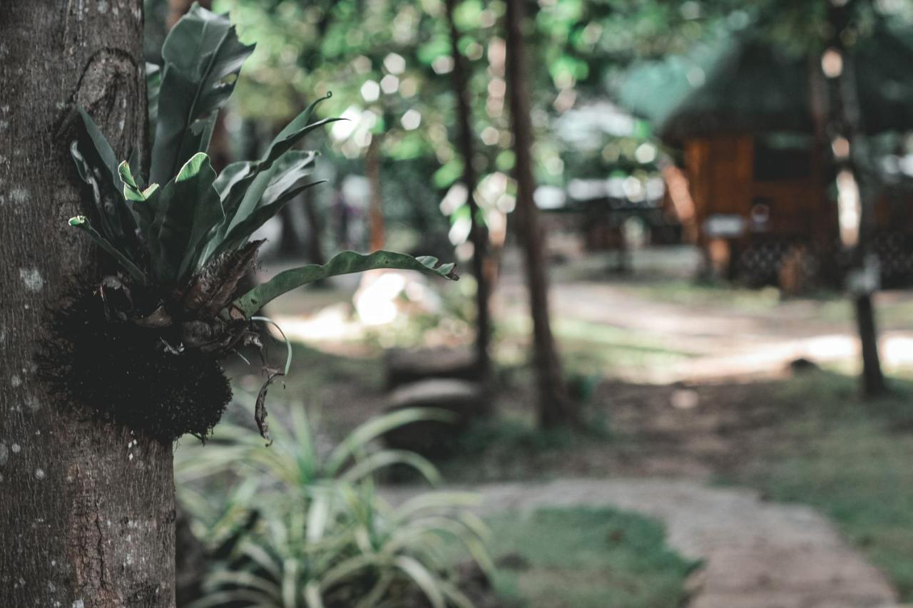 La Vie Adventure Trails Hotel Salabusob Bagian luar foto
